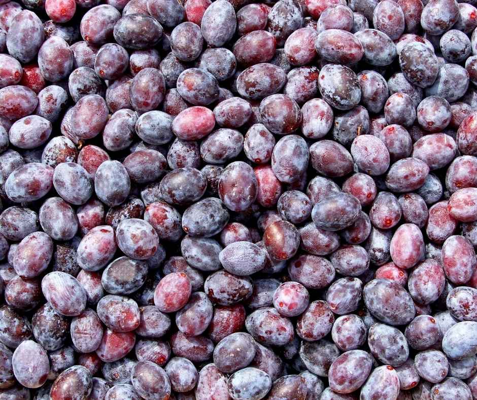 Stromberger Pflaume - Vom Baum in die Flasche