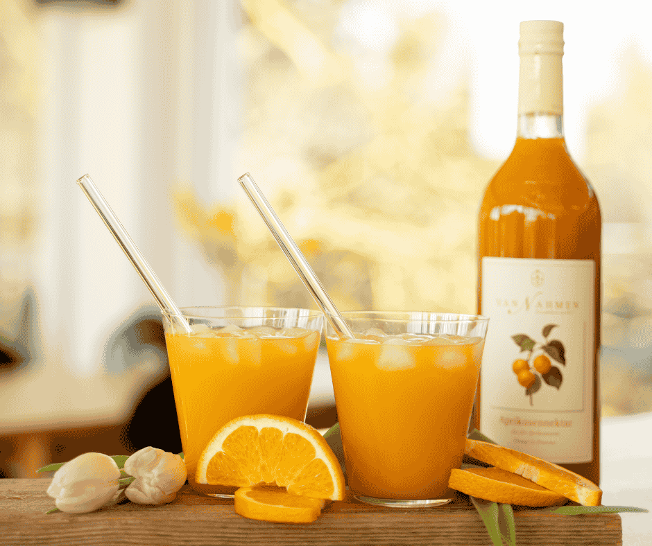 Aprikose-Vanille-Traum Titelbild